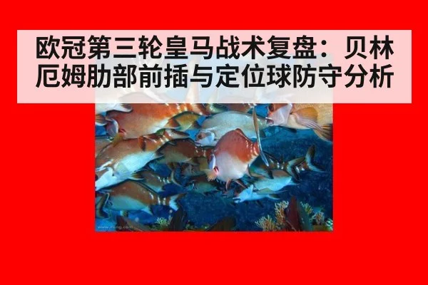 欧冠第三轮皇马战术复盘：贝林厄姆肋部前插与定位球防守分析 | j9 game